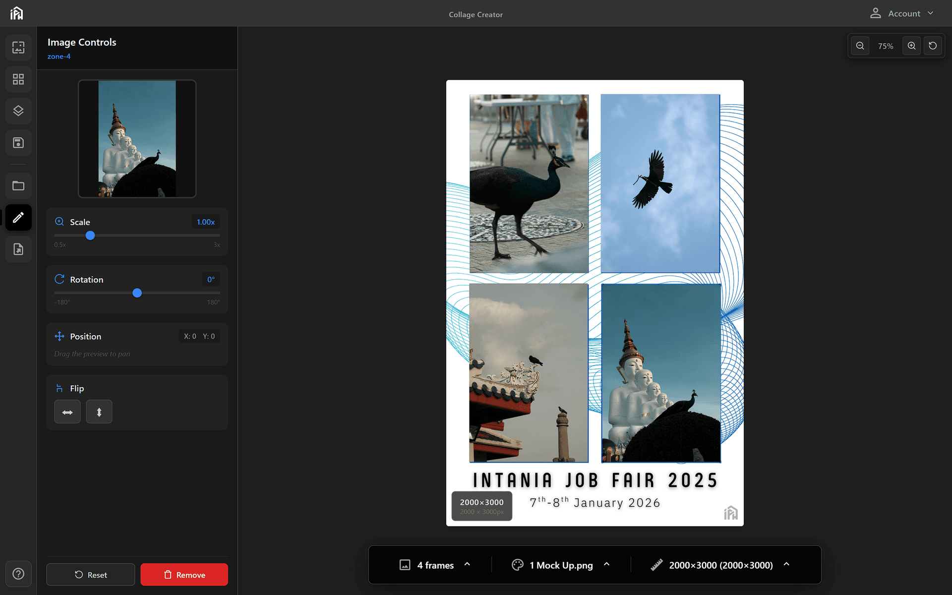 Image Controls panel showing Scale, Rotation, Position, and Flip controls