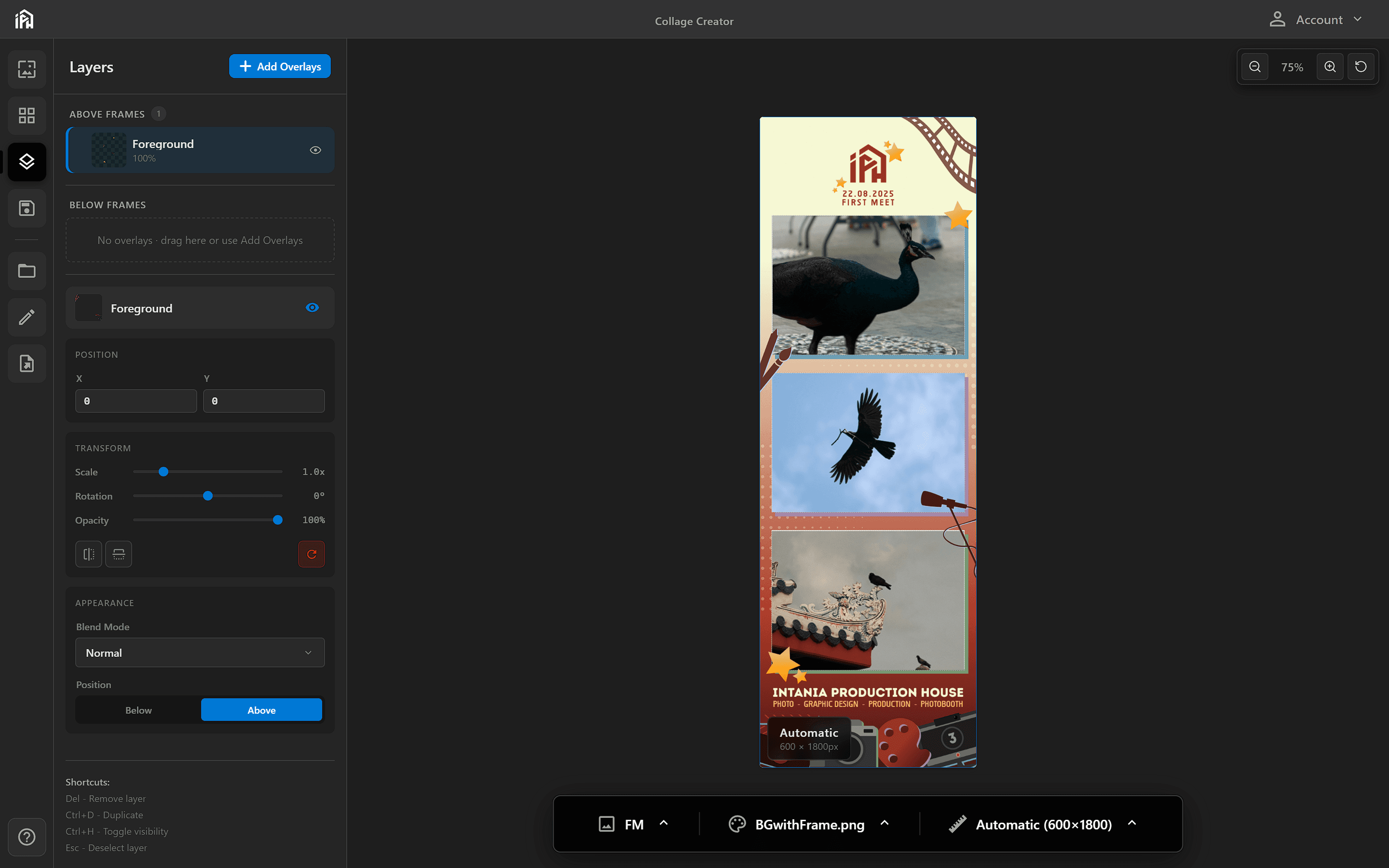 Layers panel showing overlay management